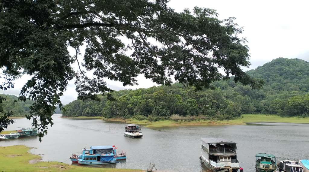 boats in Periyar Lake surrounded by lush greenery