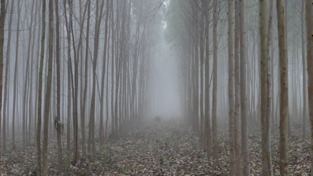 A place in Lambasingi